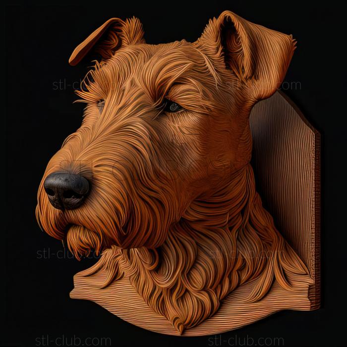 st Irish Terrier dog